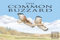 The Common Buzzard