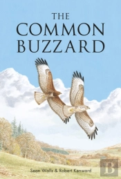 The Common Buzzard