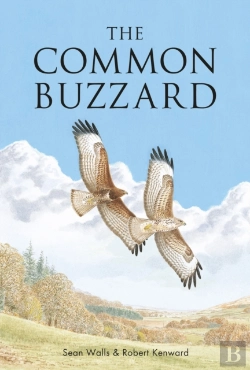 Bertrand.pt - The Common Buzzard