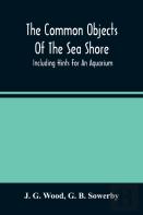 The Common Objects Of The Sea Shore
