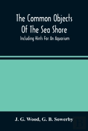 The Common Objects Of The Sea Shore