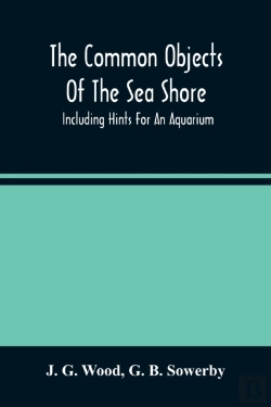 Bertrand.pt - The Common Objects Of The Sea Shore