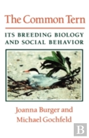 The Common Tern