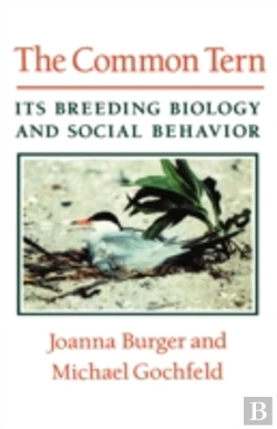 Bertrand.pt - The Common Tern