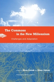 The Commons In The New Millennium