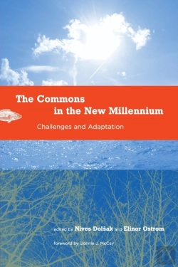 Bertrand.pt - The Commons In The New Millennium