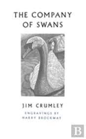 The Company Of Swans