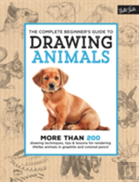 The Complete Beginner'S Guide To Drawing Animals