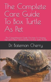 The Complete Care Guide To Box Turtle As Pet
