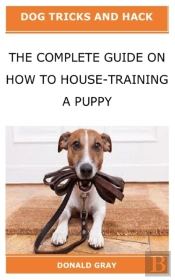 The Complete Guide On How To House-Training A Puppy