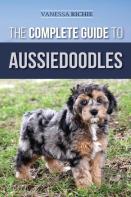The Complete Guide To Aussiedoodles