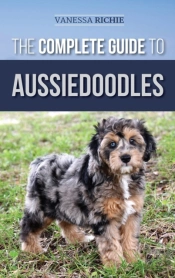The Complete Guide To Aussiedoodles