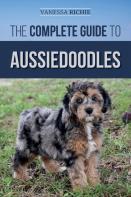The Complete Guide To Aussiedoodles