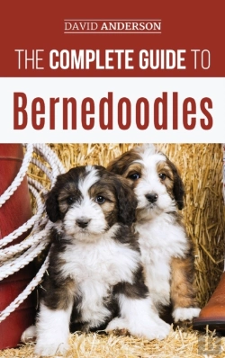 Bertrand.pt - The Complete Guide To Bernedoodles