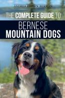 The Complete Guide To Bernese Mountain Dogs