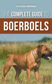 The Complete Guide To Boerboels