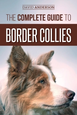 Bertrand.pt - The Complete Guide To Border Collies