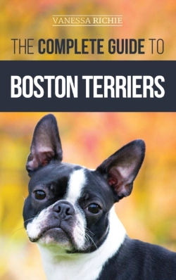 Bertrand.pt - The Complete Guide To Boston Terriers