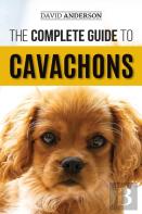 The Complete Guide To Cavachons