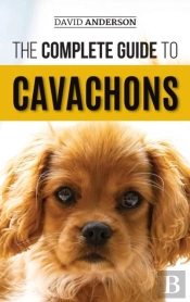 The Complete Guide To Cavachons