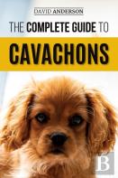 The Complete Guide To Cavachons