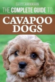 The Complete Guide To Cavapoo Dogs