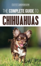 The Complete Guide To Chihuahuas