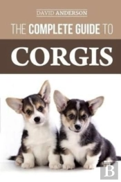 The Complete Guide To Corgis
