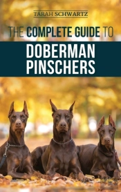 The Complete Guide To Doberman Pinschers