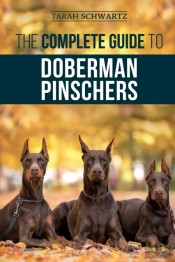 The Complete Guide To Doberman Pinschers