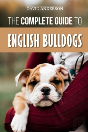The Complete Guide To English Bulldogs