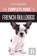 The Complete Guide To French Bulldogs