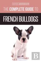 The Complete Guide To French Bulldogs