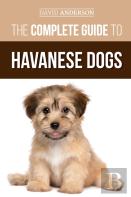 The Complete Guide To Havanese Dogs
