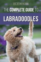 The Complete Guide To Labradoodles