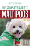 The Complete Guide To Maltipoos