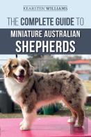 The Complete Guide To Miniature Australian Shepherds