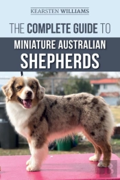 The Complete Guide To Miniature Australian Shepherds