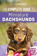 The Complete Guide To Miniature Dachshunds