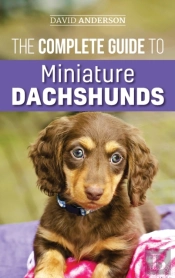 The Complete Guide To Miniature Dachshunds
