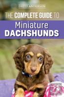 The Complete Guide To Miniature Dachshunds