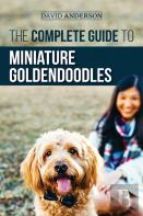 The Complete Guide To Miniature Goldendoodles