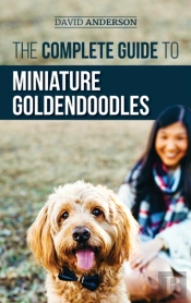 The Complete Guide To Miniature Goldendoodles
