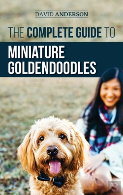 Bertrand.pt - The Complete Guide To Miniature Goldendoodles