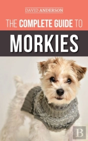 The Complete Guide To Morkies