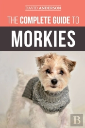 The Complete Guide To Morkies