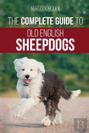 The Complete Guide To Old English Sheepdogs