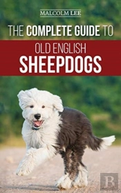 The Complete Guide To Old English Sheepdogs
