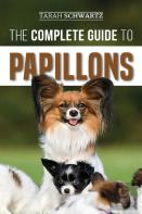The Complete Guide To Papillons