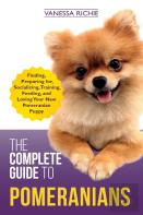 The Complete Guide To Pomeranians